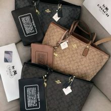 شش رنگ تت بگ کوچ دورو و دوتیکه مستر کوالیتی کد6027