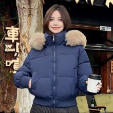 کاپشن پفکی وارداتی کد 6042